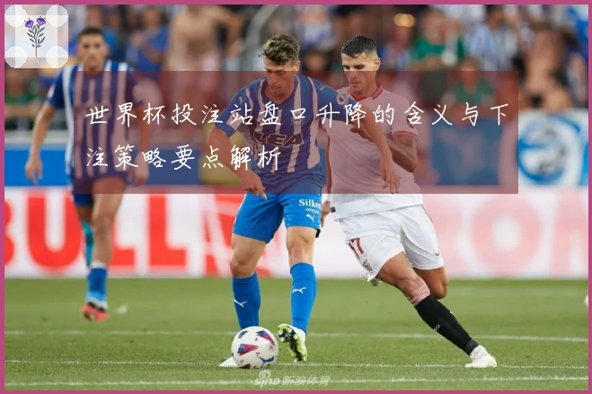 世界杯投注站盘口升降的含义与下注策略要点解析