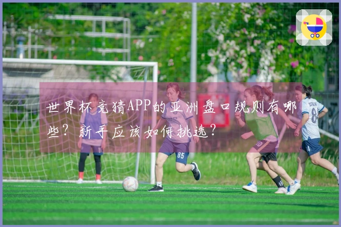 世界杯竞猜APP的亚洲盘口规则有哪些？新手应该如何挑选？