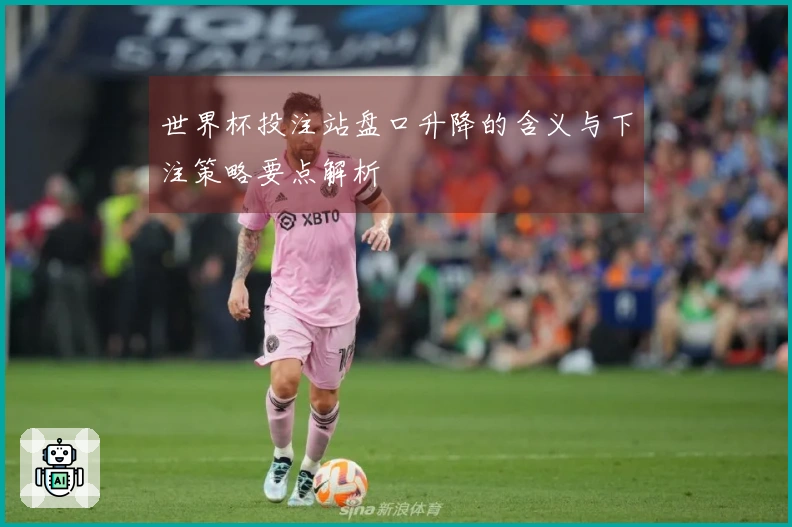 世界杯投注站盘口升降的含义与下注策略要点解析